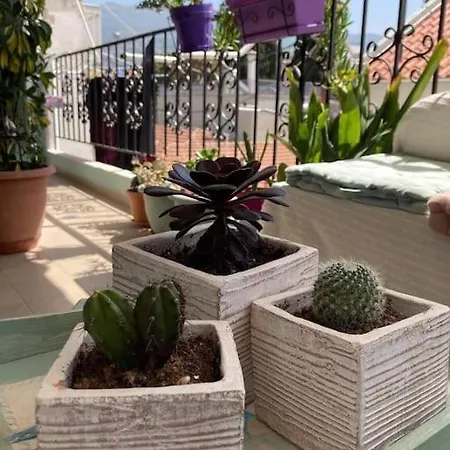 Nina's House In The Center Of Apartment Volos