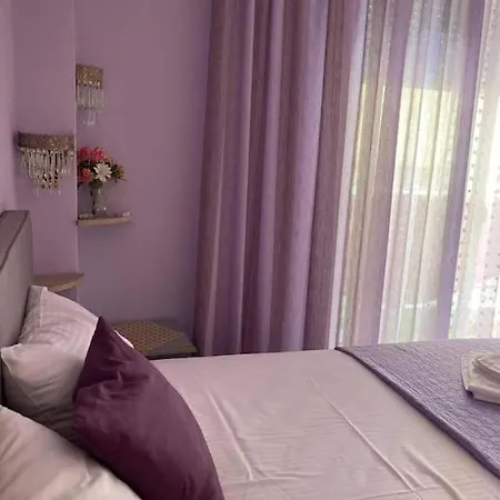 Nina's House In The Center Of 아파트 *